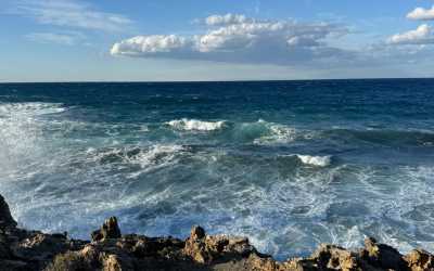 Wycieczka Marathon Jeep Safari - Narodowy Park Akamas z Pissouri